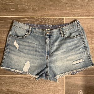 NWT Aerie Light Blue Distressed Daydream Shorts - Size XL